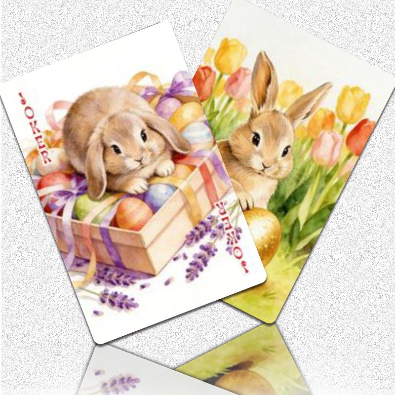 ไพ่มาตรฐาน 54 ใบสำหรับผู้ใหญ่  - Party Games Bunny บทวิจารณ์และราคา